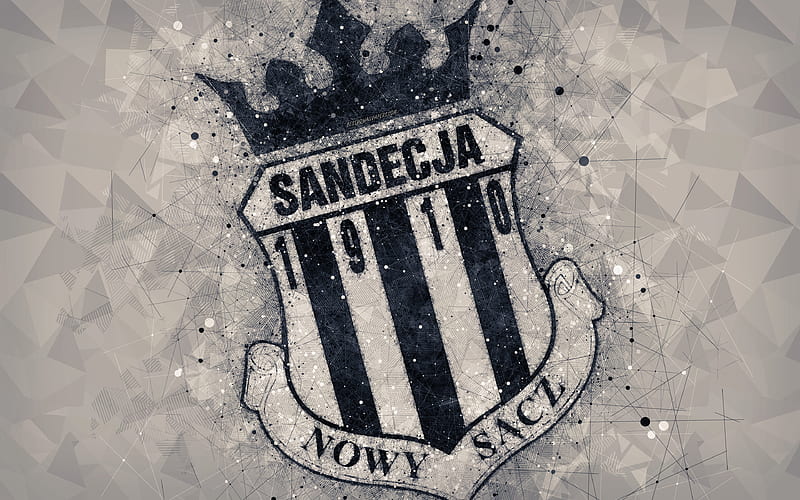 HD-wallpaper-sandecja-nowy-sacz-geometric-art-logo-gray-abstract-background-polish-football-club-nowy-sacz-poland-football-creative-art